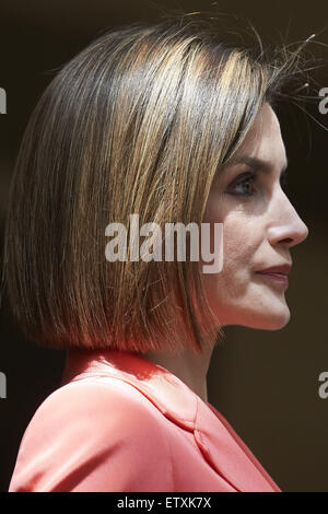 Madrid, Espagne. 16 Juin, 2015. Reine Letizia d'Espagne à la cérémonie organisée pour marquer le bicentenaire de la création du Conseil de la grandeur de l'Espagne au Palais de El Pardo le 16 juin 2015 à Madrid Crédit : Jack Abuin/ZUMA/Alamy Fil Live News Banque D'Images