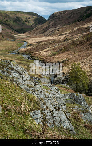 Afon Irfon (Rivière Irfon), Nant Irfon Valley, Abergwesyn (Commune Comin Abergwesyn) Réserve naturelle nationale, Powys, Wales, UK. Banque D'Images