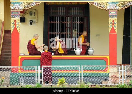 Les jeunes moines bouddhistes Banque D'Images