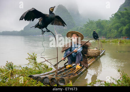 Le Cormorant fisherman et ses oiseaux sur la rivière Li à Yangshuo, Guangxi, Chine. Banque D'Images