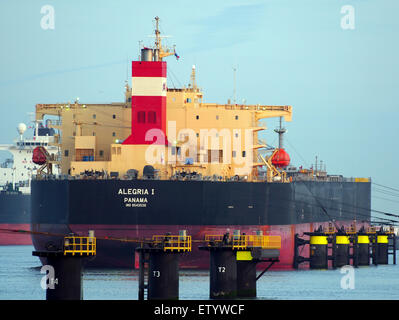 Image du pétrolier Alegria I (IMO 9543536) naviguant sur le Calandkanaal dans le port de Rotterdam. La scène montre divers navires maritimes, y compris des pétroliers, des porte-conteneurs, des barges, des remorqueurs et des transporteurs de marchandises dans un cadre portuaire animé. Banque D'Images