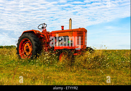 Tracteur rouge assis parmi les fleurs sauvages. Banque D'Images