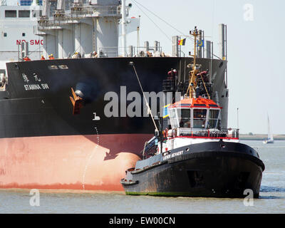 L'ENDURANCE SW - OMI 9603958 & Lieven Gevaert - IMO 9120140, Berendrechtlock, Port d'Anvers, pic3 Banque D'Images