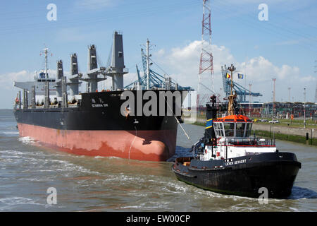 L'ENDURANCE SW - OMI 9603958 & Lieven Gevaert - IMO 9120140, Berendrechtlock, Port d'Anvers, pic4 Banque D'Images