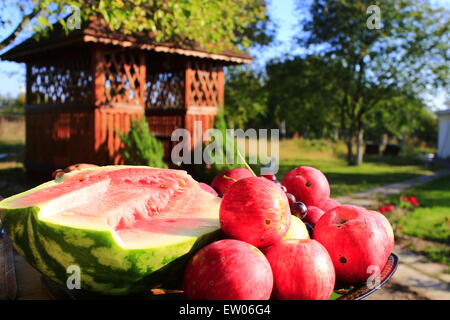 Récolte des pommes rouges et couper la pastèque sur le fond d'Arbor Banque D'Images