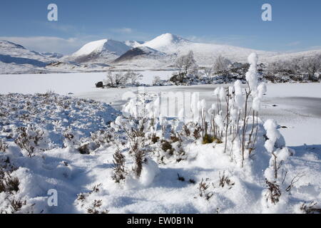 Lochan na h-Achlaise sur Rannoch Moor. Banque D'Images