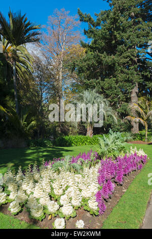 Jardin japonais de Miyazu, Nelson, île du Sud, Nouvelle-Zélande Banque D'Images