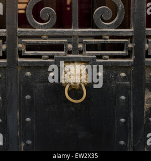 Close-up of a metal gate et doorknocker, Valparaiso, Chili Banque D'Images