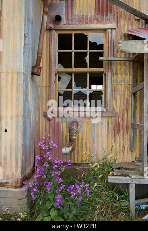 Bâtiment historique, l'Estancia San Gregorio, Patagonie, Chili Banque D'Images