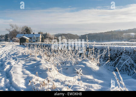 Dérives de la neige dans la campagne menant à une maison couverte de neige dans le ciel bleu pâle à distance Banque D'Images