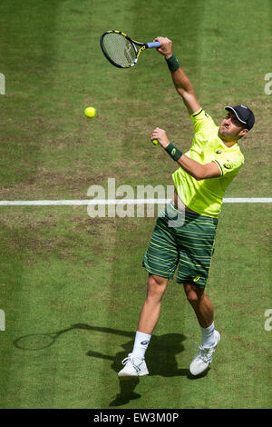 Halle, Allemagne. 17 Juin, 2015. Steve Johnson, de l'USA en action pendant la série de 16 match contre Mayer de l'Allemagne à l'ATP tennis tournoi à Halle, Allemagne, 17 juin 2015. Dpa : Crédit photo alliance/Alamy Live News Banque D'Images