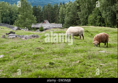 La Norvège. Une ferme dans la vallée de Gudbrandsdalen Banque D'Images