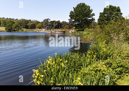 Vue sur le lac de Persée et les jardins à l'Italienne Banque D'Images