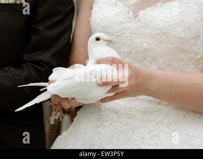 Une mariée en robe de mariée blanche tenant une colombe dans la main Banque D'Images