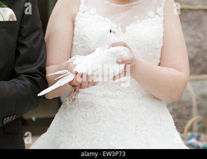Une mariée en robe de mariée blanche tenant une colombe dans la main Banque D'Images