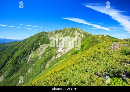 Alpes du Sud Mt. Senjougatake, Yamanashi, Japon Banque D'Images