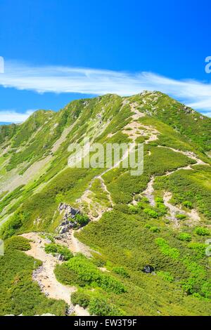 Alpes du Sud Mt. Senjougatake, Yamanashi, Japon Banque D'Images