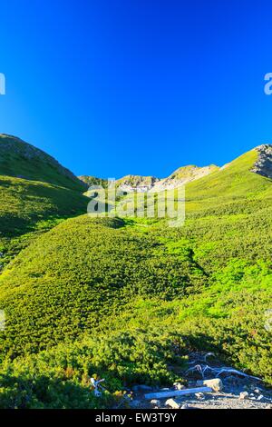 Alpes du Sud Mt. Senjougatake, Yamanashi, Japon Banque D'Images