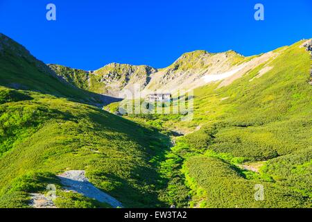 Alpes du Sud Mt. Senjougatake, Yamanashi, Japon Banque D'Images