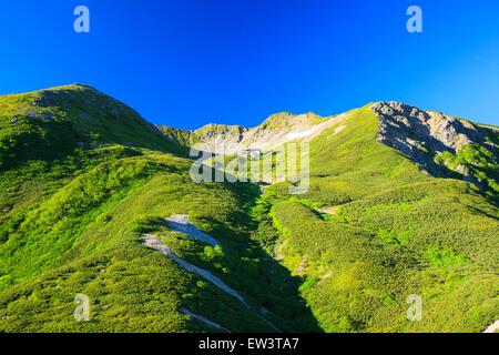 Alpes du Sud Mt. Senjougatake, Yamanashi, Japon Banque D'Images