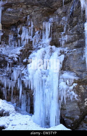 Misotsuchi d'Icicle, Asahikawa, Saitama, Japon Banque D'Images