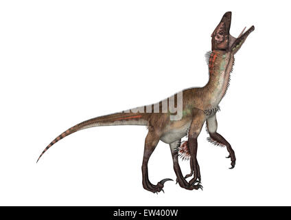 Rendu 3D d'un dinosaure utahraptor isolé sur fond blanc Banque D'Images