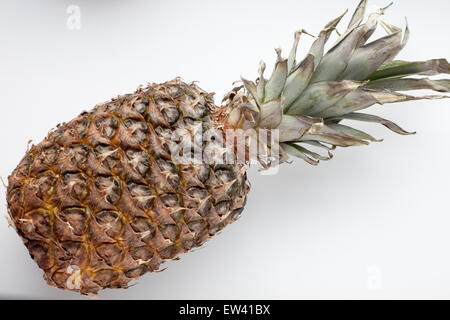 Ananas juteux mûrs sur un fond blanc Banque D'Images