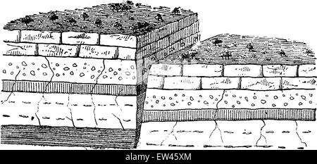 Suivi d'une chute de fracture, vintage engraved illustration. Terre avant l'homme - 1886. Illustration de Vecteur