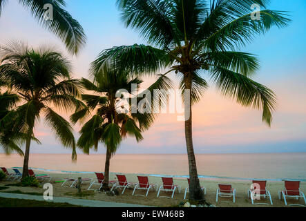 Lever du soleil couleurs délicates peintures sur les Caraïbes sur l'île de Sainte-Croix, Îles Vierges des États-Unis. Plage, palmiers, chaises de plage. Banque D'Images
