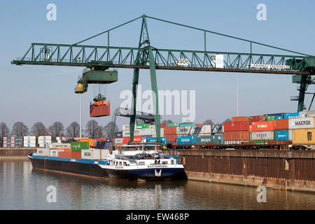 HGK terminal à conteneurs, Niehl, Cologne, Rhénanie du Nord-Westphalie, Allemagne. Banque D'Images