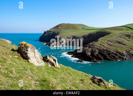 La côte nord sauvage près de Port Quin, Cornwall, England, UK Banque D'Images