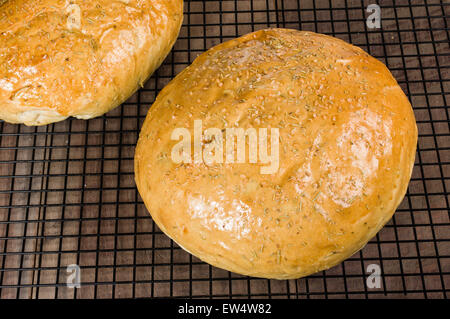 Miches de pain romarin artisan sur grille de refroidissement Banque D'Images