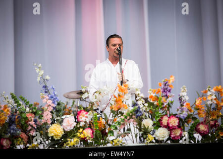 Faith No More en concert au Festival Pinkpop à Landgraaf aux Pays-Bas © 2015 Roberto Finizio/Alamy Live News Banque D'Images