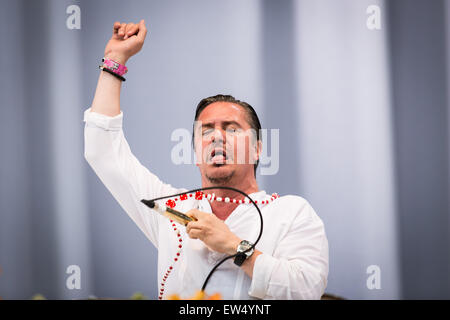 Faith No More en concert au Festival Pinkpop à Landgraaf aux Pays-Bas © 2015 Roberto Finizio/Alamy Live News Banque D'Images