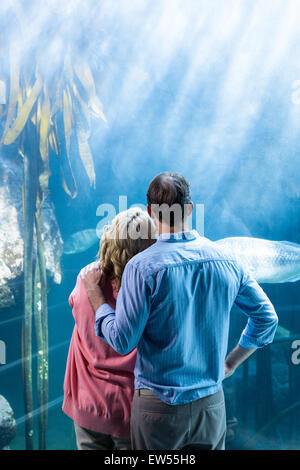 Voir l'usure du couple poissons dans le réservoir Banque D'Images