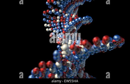 Une vue microscopique d'un modèle de style ADN séquencé rouge bleu et blanc sur un fond isolé d'atomes Banque D'Images