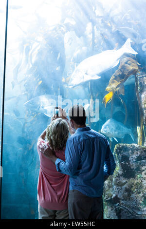 Voir l'usure d'un couple taking photo de poissons Banque D'Images