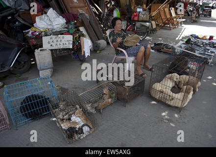 Yulin, Guangxi, CHN. 17 Juin, 2015. Yulin, CHINE - 17 juin 2015 : (usage éditorial uniquement. La CHINE) Une vieille femme est la vente de chats et chiens au marché de Dongkou. Accorder à la vieille femme, certains des chiens et chats seront achetés et slaughterd pour manger, et le reste sera acheté et conservé comme animaux domestiques. La controverse la viande de chien-manger annuel festival aura lieu le solstice d'été (21 juin) dans la région de Yulin, région autonome Zhuang du Guangxi, lorsqu'une masse de chiens sont susceptibles d'être abattus et servi comme hotpots avec litchis et alcool fort. Crédit : SIPA Asie/ZUMA/Alamy Fil Live News Banque D'Images