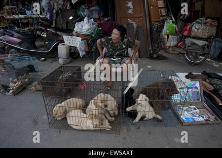 Yulin, Guangxi, CHN. 17 Juin, 2015. Yulin, CHINE - 17 juin 2015 : (usage éditorial uniquement. La CHINE) Une vieille femme est la vente de chats et chiens au marché de Dongkou. Accorder à la vieille femme, certains des chiens et chats seront achetés et slaughterd pour manger, et le reste sera acheté et conservé comme animaux domestiques. La controverse la viande de chien-manger annuel festival aura lieu le solstice d'été (21 juin) dans la région de Yulin, région autonome Zhuang du Guangxi, lorsqu'une masse de chiens sont susceptibles d'être abattus et servi comme hotpots avec litchis et alcool fort. Crédit : SIPA Asie/ZUMA/Alamy Fil Live News Banque D'Images