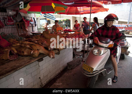 Yulin, Guangxi, CHN. 17 Juin, 2015. Yulin, CHINE - 17 juin 2015 : (usage éditorial uniquement. Chine OUT) est une femme d'acheter la viande de chien au marché de Dongkou. Elle dit qu'il n'y a aucune interdiction de manger la viande de chien. La controverse la viande de chien-manger annuel festival aura lieu le solstice d'été (21 juin) dans la région de Yulin, région autonome Zhuang du Guangxi, lorsqu'une masse de chiens sont susceptibles d'être abattus et servi comme hotpots avec litchis et alcool fort. Crédit : SIPA Asie/ZUMA/Alamy Fil Live News Banque D'Images