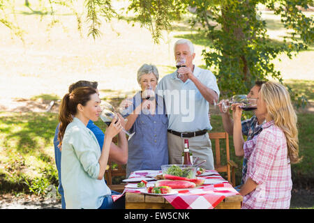 Professionnels Seniors toasting avec leur famille Banque D'Images