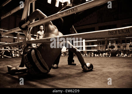 Lutte Muay Thai Boxe en Thaïlande Banque D'Images