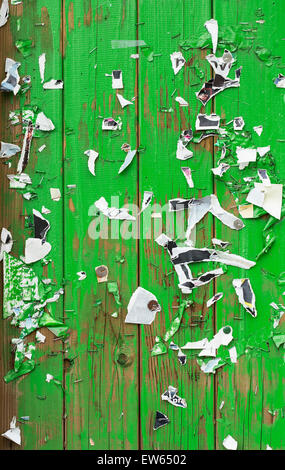 Vieux morceaux de papier sur un panneau vert. Banque D'Images