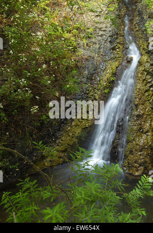 Gran Canaria, pièces intérieures nortern, Barranco de Azuaje, réserve naturelle Banque D'Images