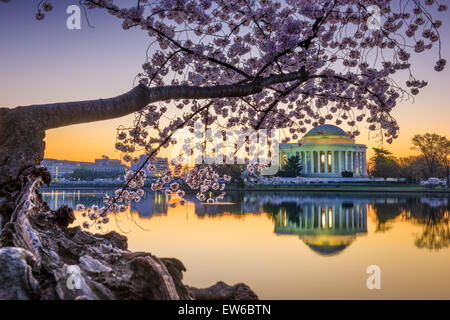 Washington, DC du Jefferson Memorial au printemps. Banque D'Images