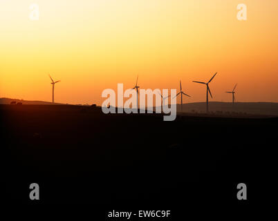 Six des 24 d'énergie éolienne Les éoliennes de production d'électricité des éoliennes de Rhyd y Groes, Anglesey à SW au coucher du soleil. Banque D'Images