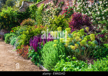 Frontière herbacées dans le jardin clos de Bowood House dans le Wiltshire. Banque D'Images