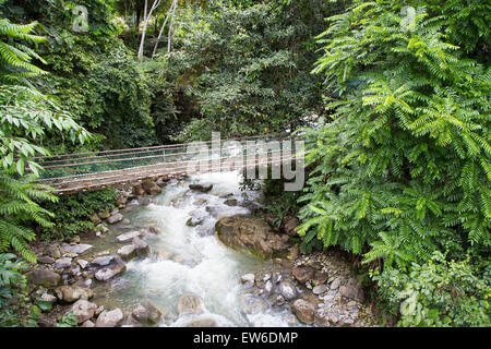 Chute d'eau à étudier Hot Spring, Sabah, Bornéo Malaisie montrant de l'eau Débit d'obturation lente de capture Banque D'Images