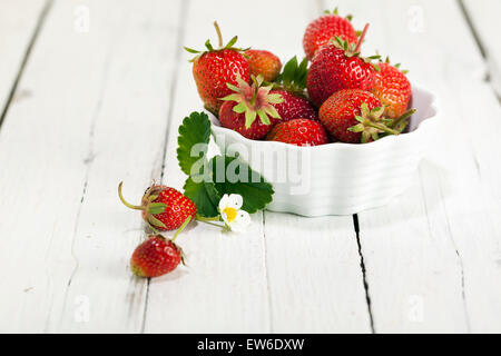 Fraises fraîchement récoltées dans et hors du bol blanc sur la table en bois Banque D'Images