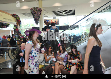 Ascot, Berkshire, Royaume-Uni. 18 juin 2015. L'Assemblée Royal Ascot Races, Mesdames jour. Crédit : Matthieu Chattle/Alamy Live News Banque D'Images